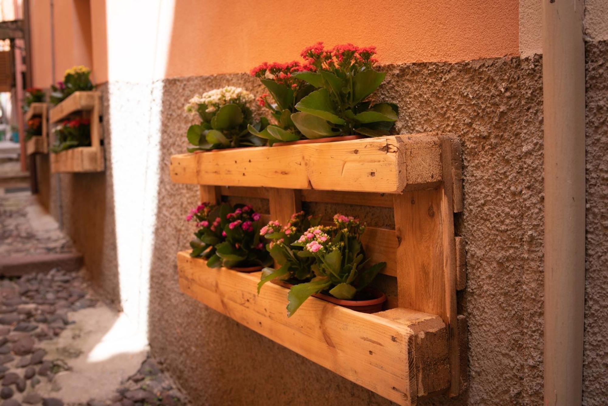 Casa Mirto Ξενοδοχείο Bosa Εξωτερικό φωτογραφία